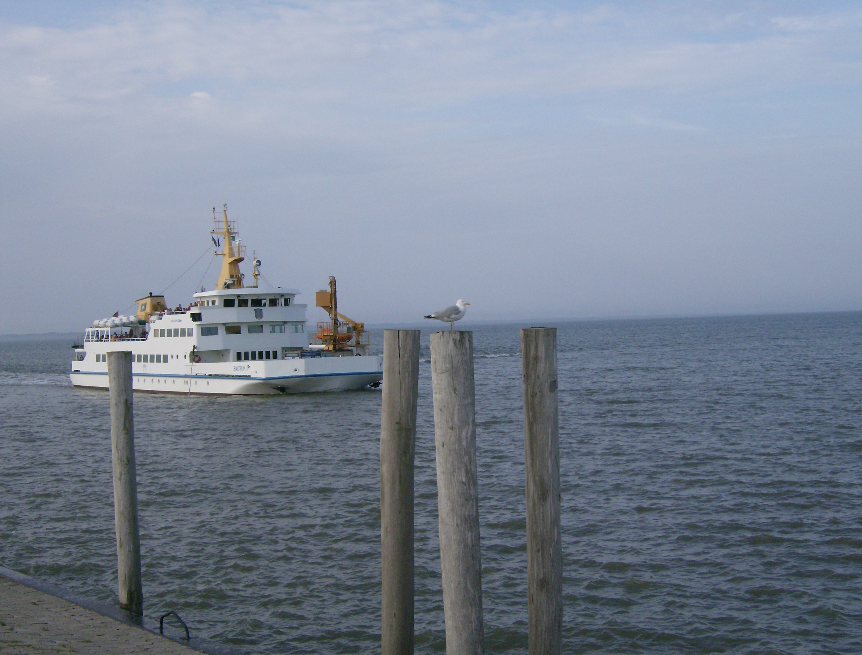 Bildergalerie Neßmersiel ****Ferienwohnung Krabbentaucher